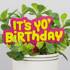 It's Yo Birthday
